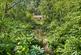 APPROXIMATELY 2.75 ACRES OF BEAUTIFUL WOODLAND photo 4
