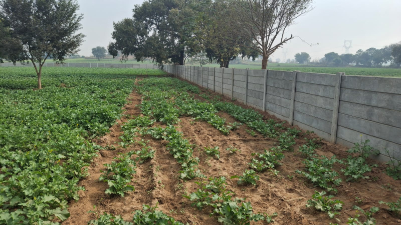 NH 8, Gurgaon photo 2
