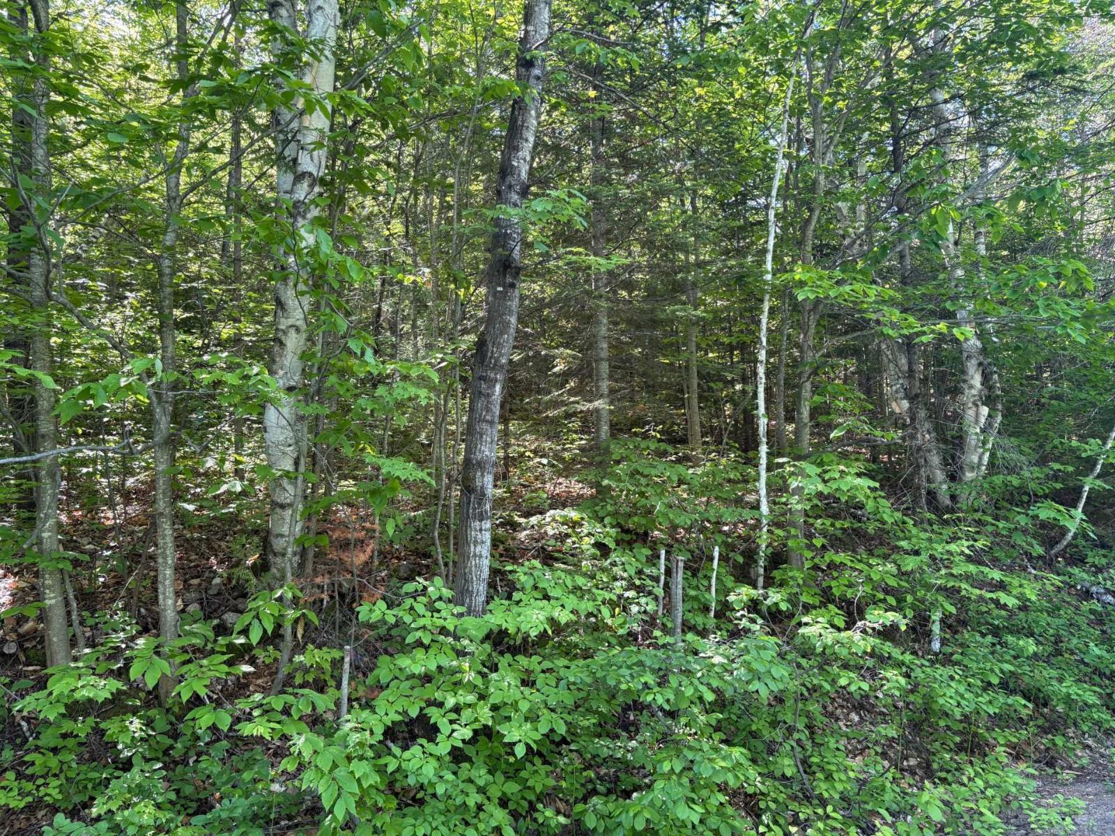 Ch. du Lac-Corbeau