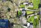 Additional image 32 of Sutton Spring Wood, Temple Normanton, Chesterfield, S42 5DT