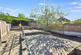 Danehill Grove, Hanford photo 4