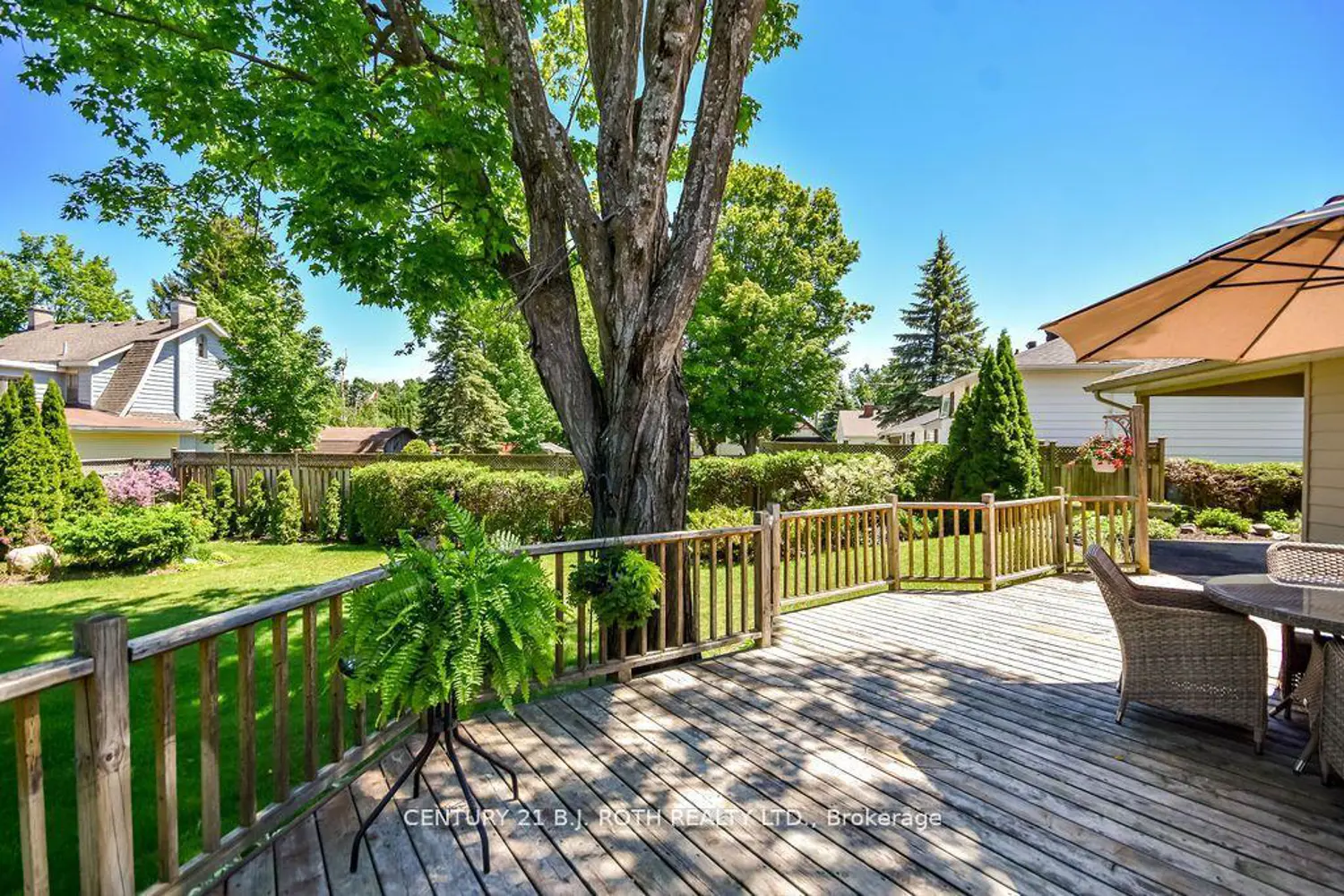 424 Jamieson Drive photo 4
