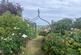 Framlingham, Suffolk photo 4