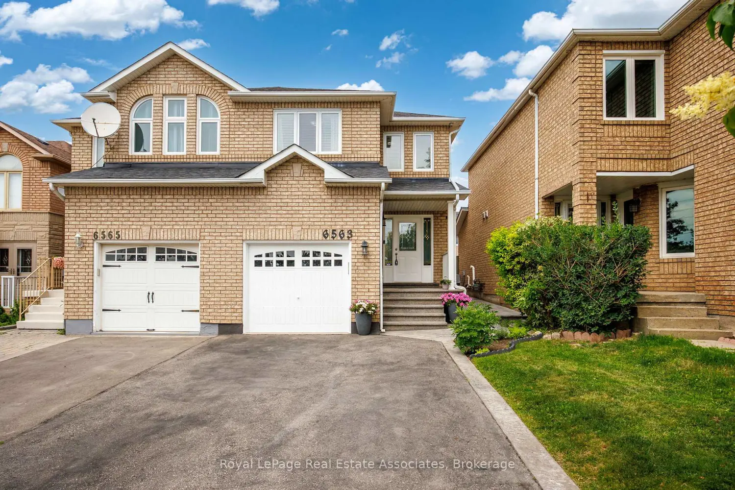 6563 Sapling Trail