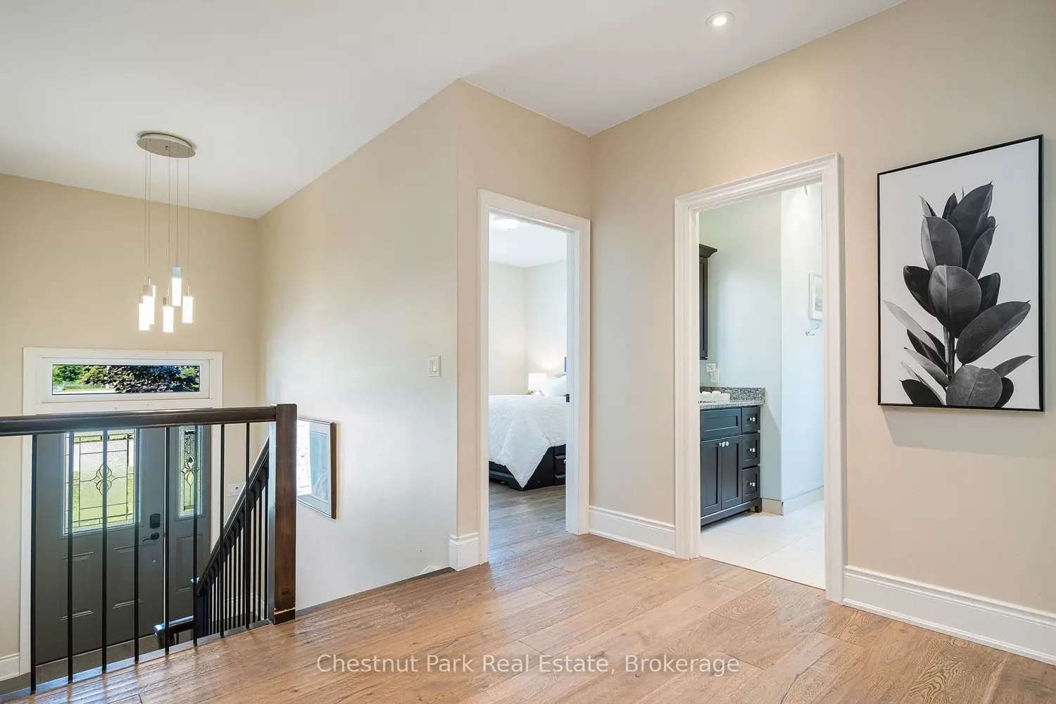 15 Saunders Street photo 4