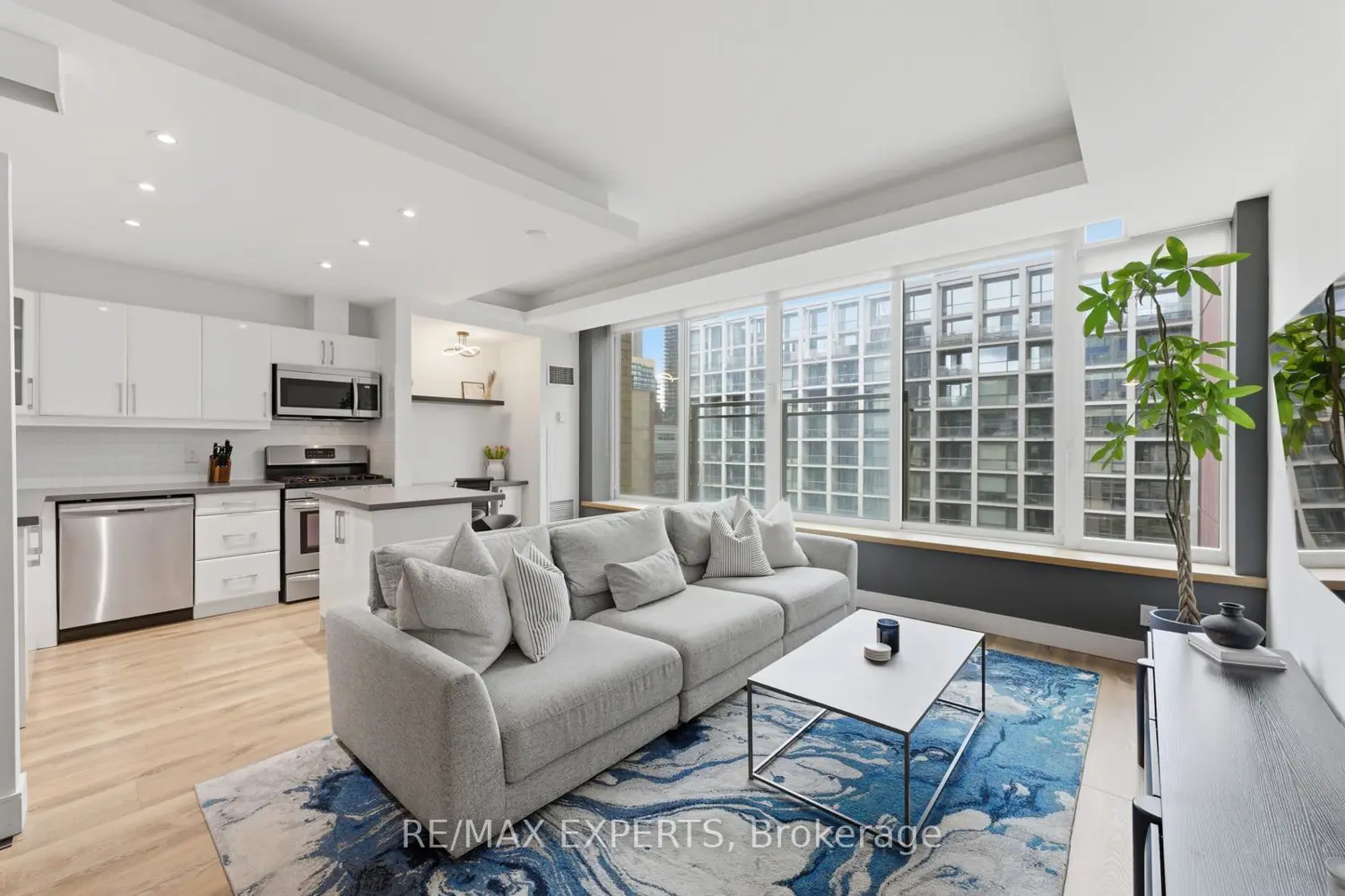 50 Camden Street 707