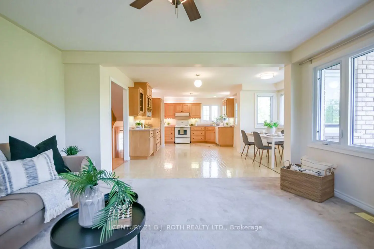 20 Boyd Crescent photo 4