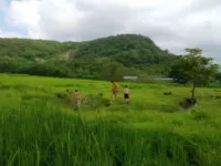 Dodamarg, North Goa, Goa photo 3
