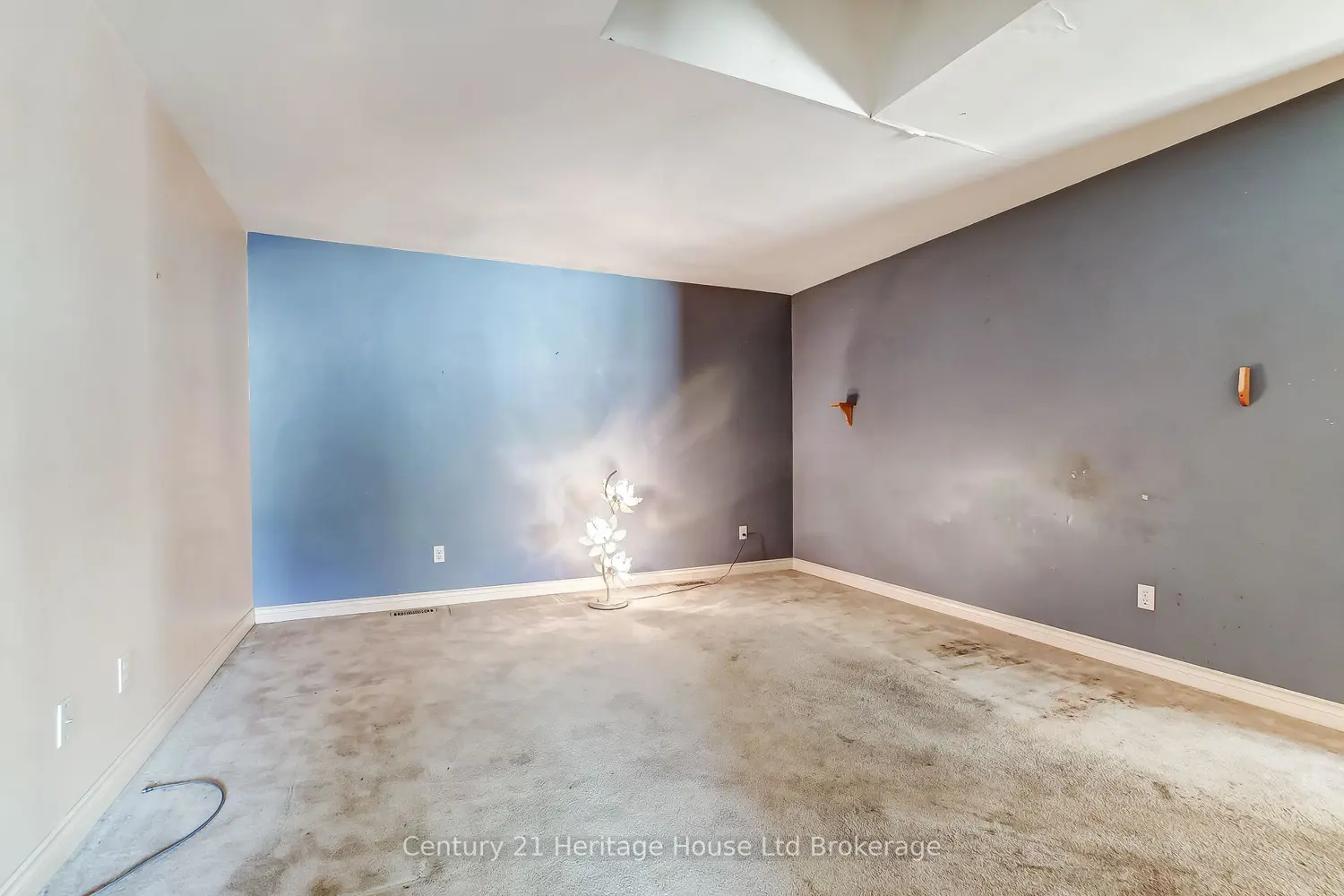 773 Hounsfield Street photo 5
