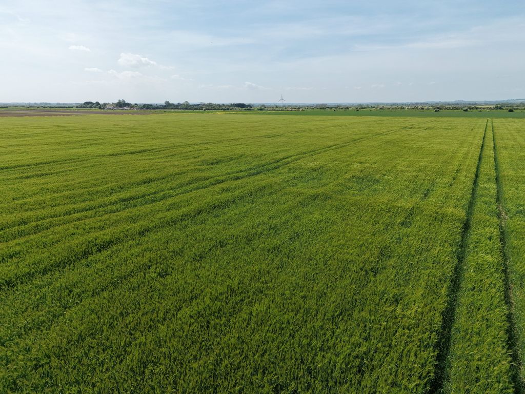Farm for saleAusten Fen, Grainthorpe, Louth LN11
