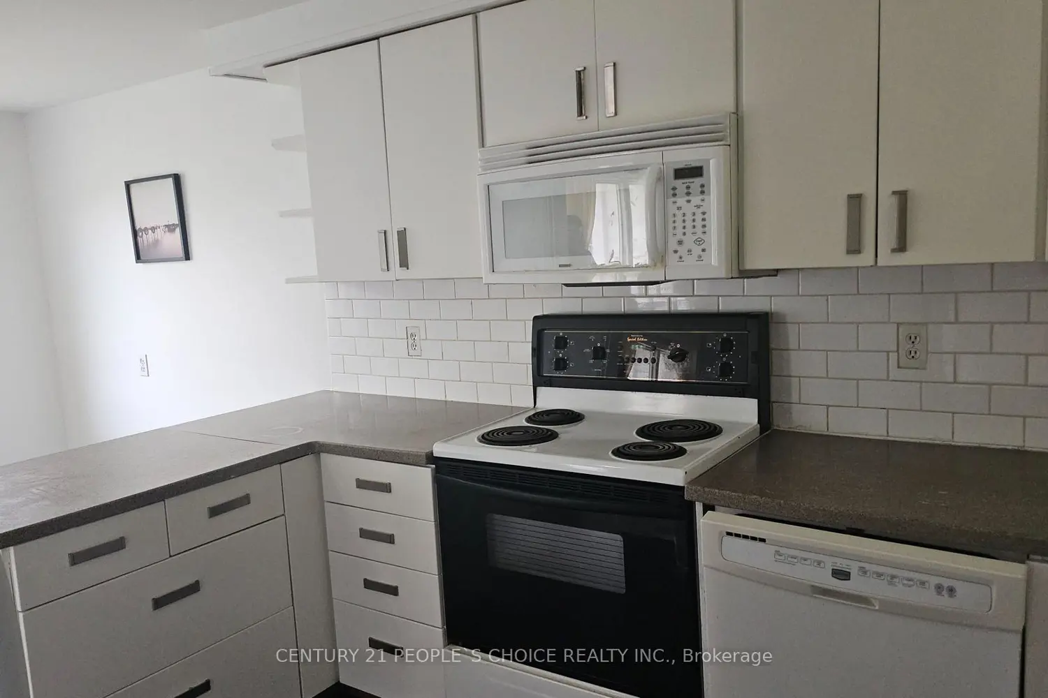 58 Belwood Crescent photo 5