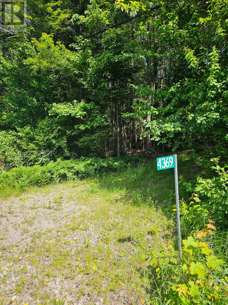 4369 HIGHWAY 534