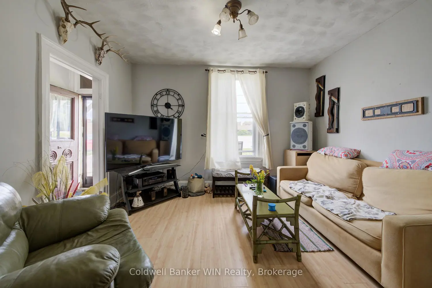 129 Elgin Street photo 4