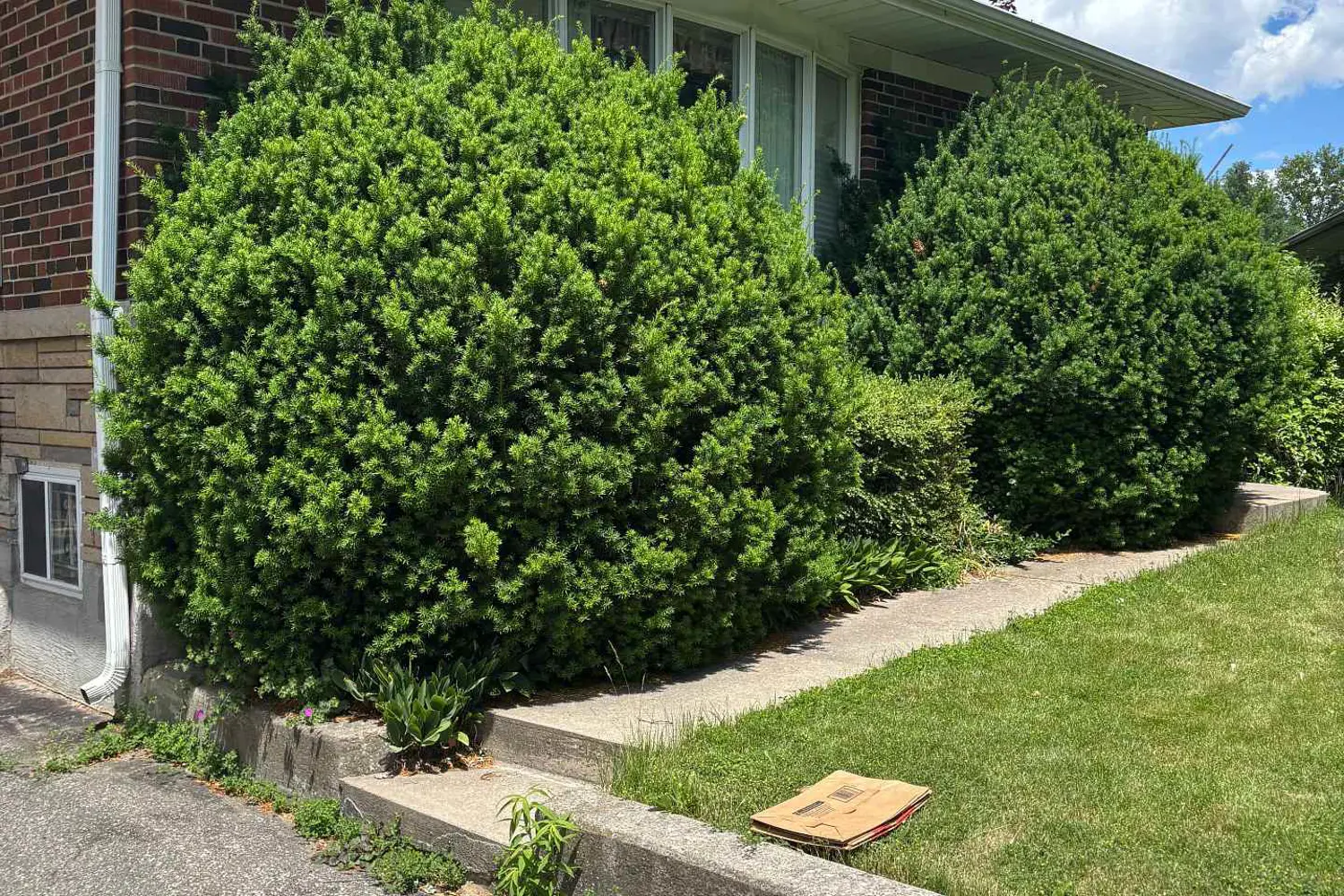 4 Winesap Place photo 3