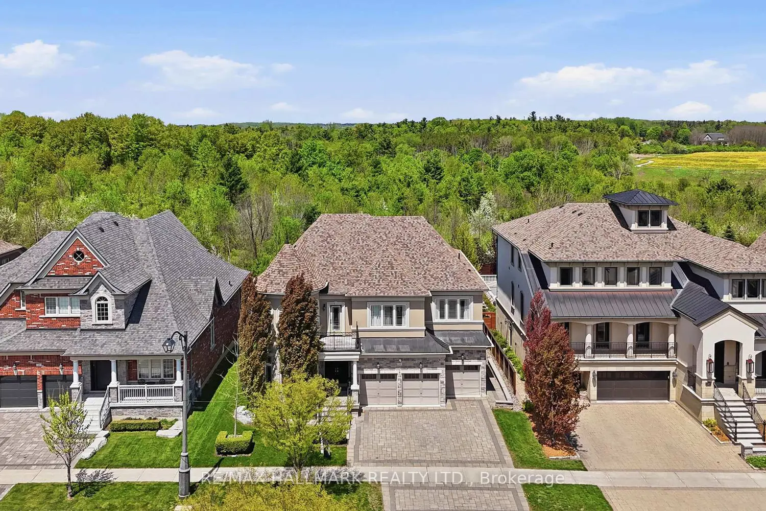 24 Bluff Trail
