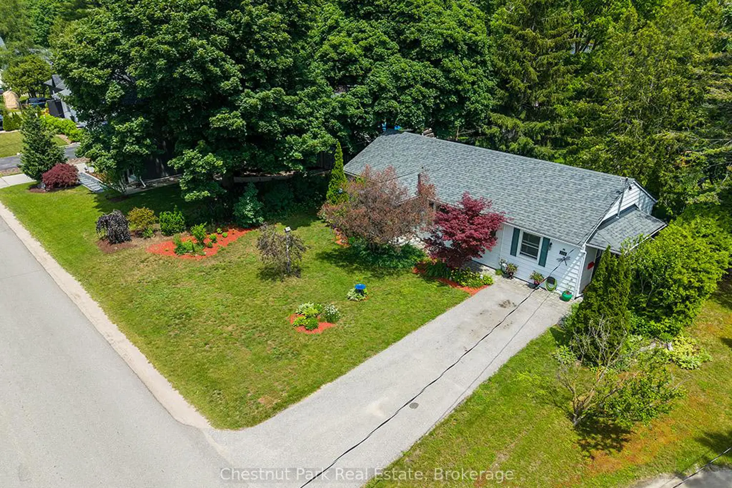 333 Oak Street photo 4
