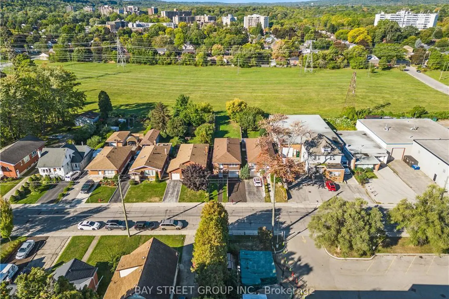 66 Ewen Road photo 3