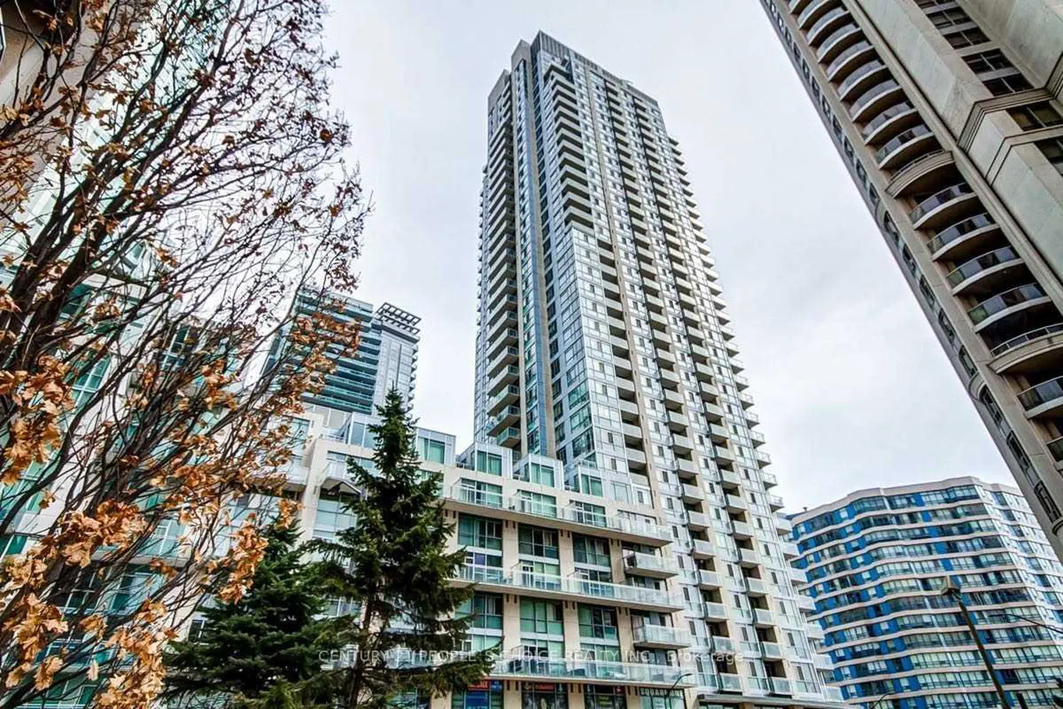 225 Webb Drive 703