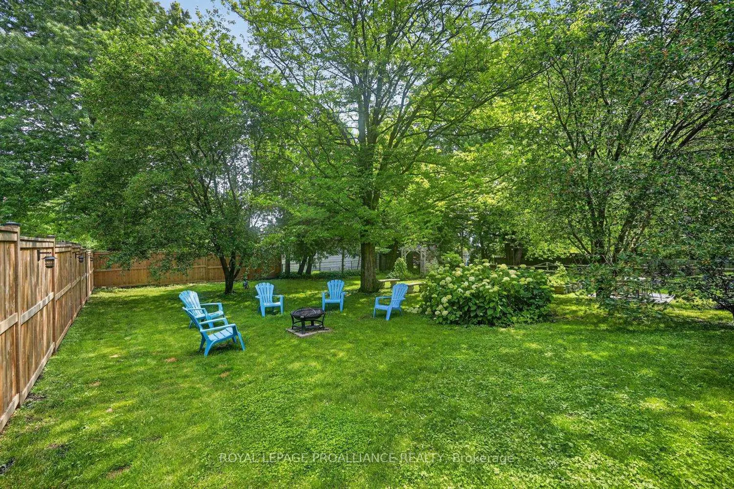 346 Russell Street photo 4