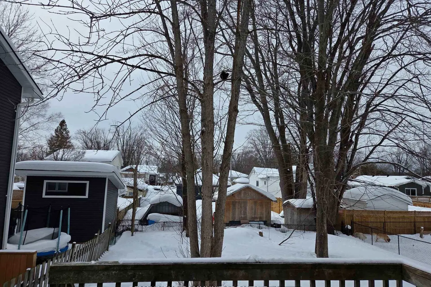 3414 Lee Avenue photo 4