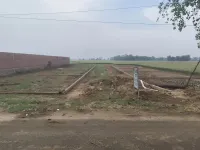 Kanhauli, Bihta, Patna photo 2