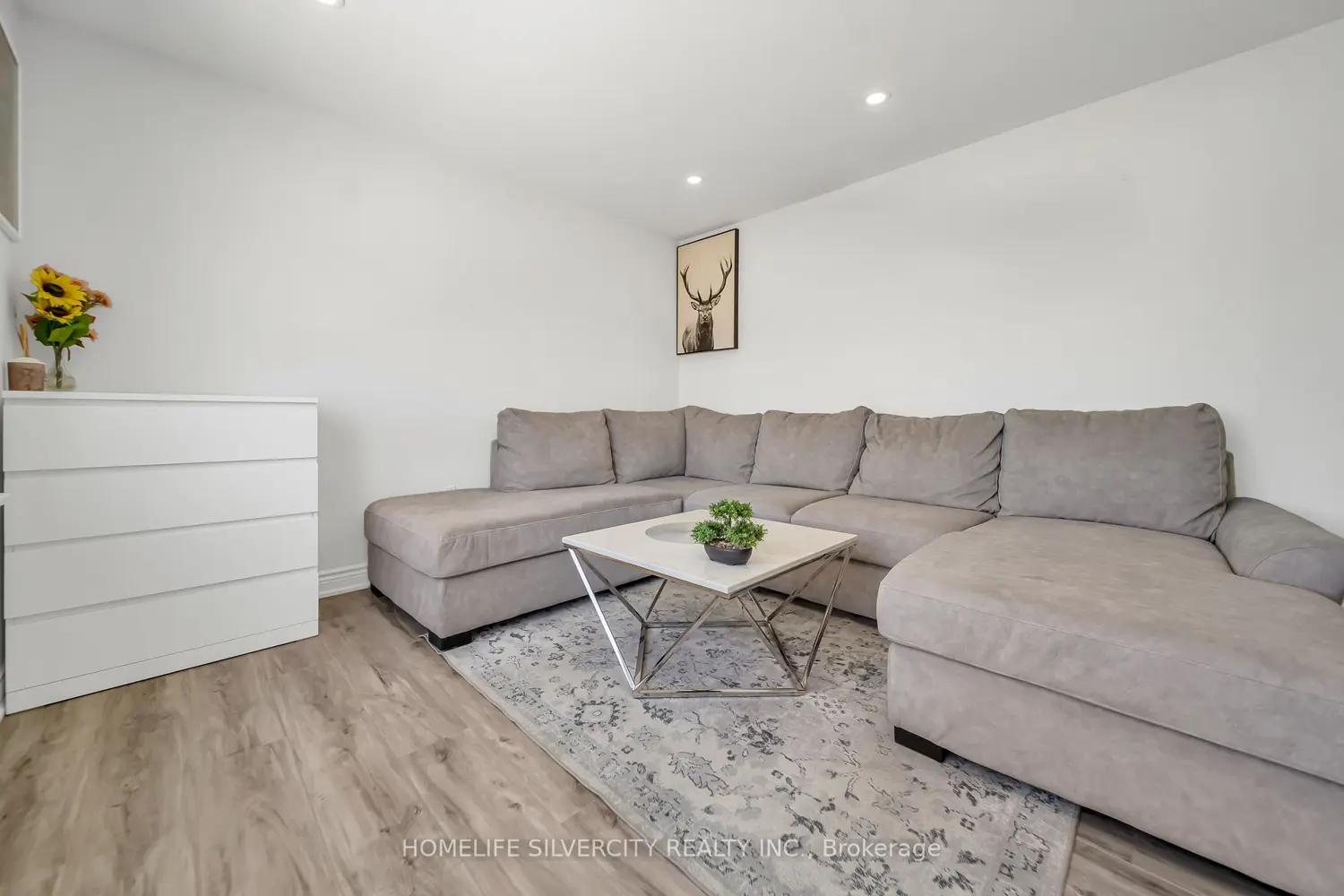 19 Pleasantview Avenue photo 5