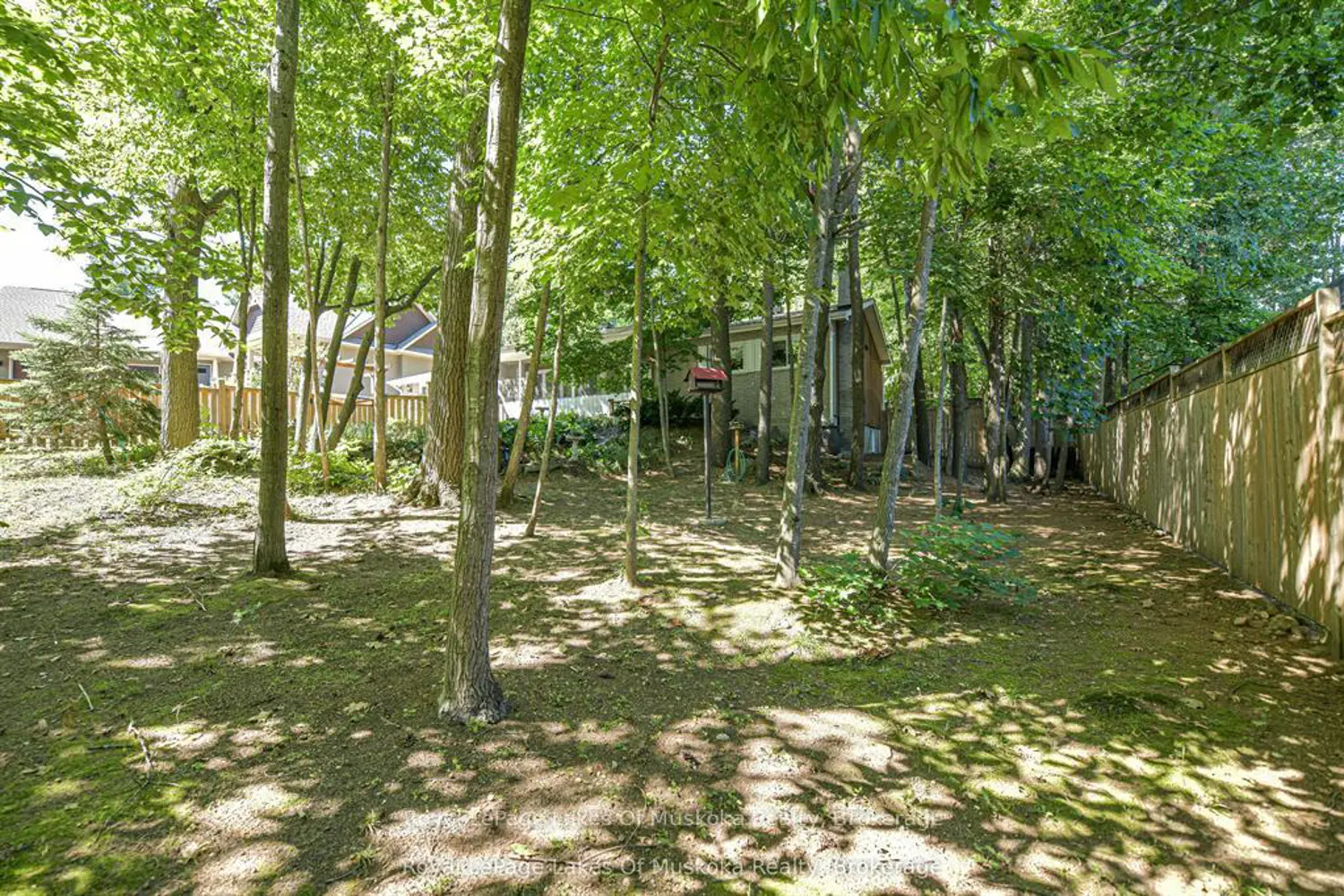 115 Douglas Street photo 3