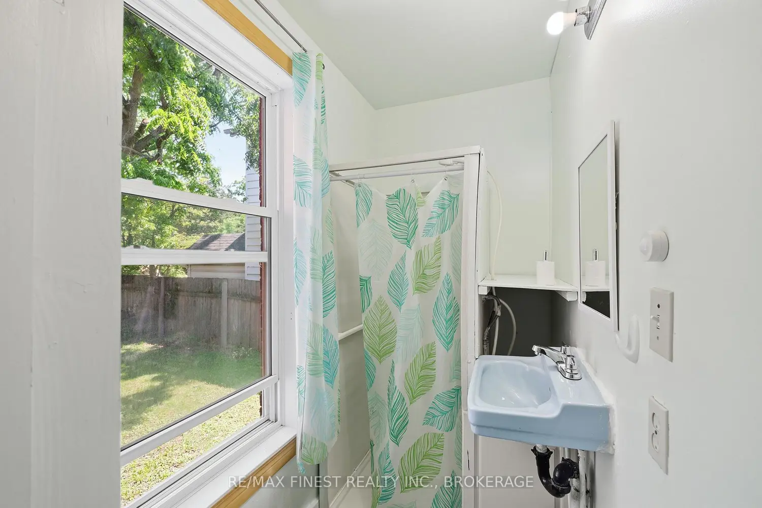 445 Albert Street photo 4