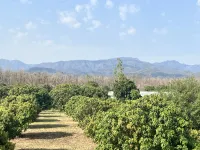 Kaladhungi Road, Haldwani photo 3