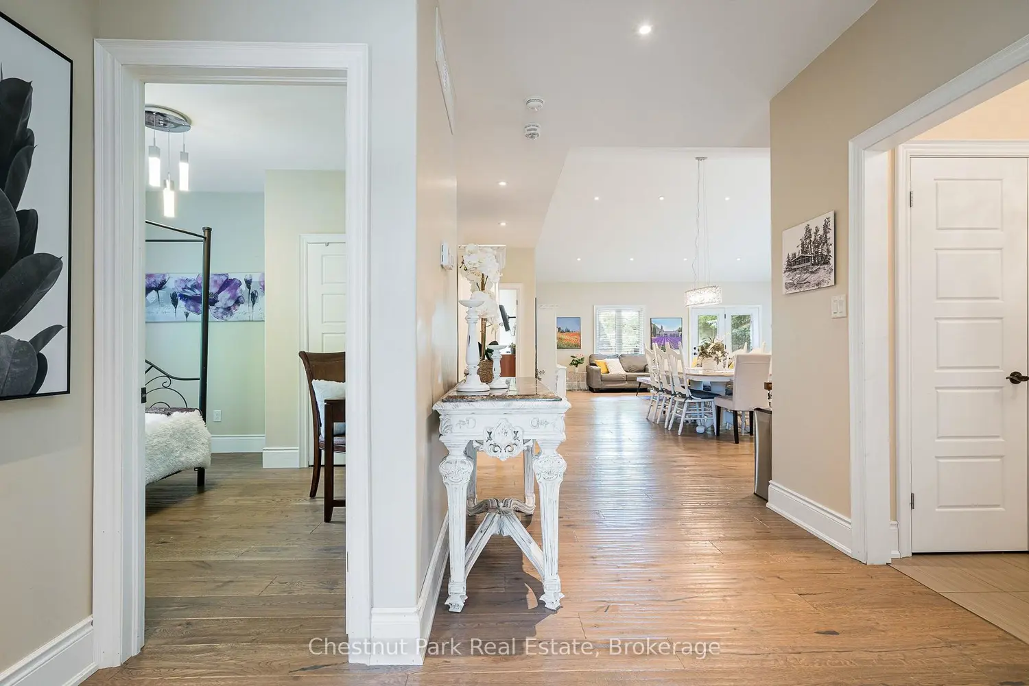 15 Saunders Street photo 5