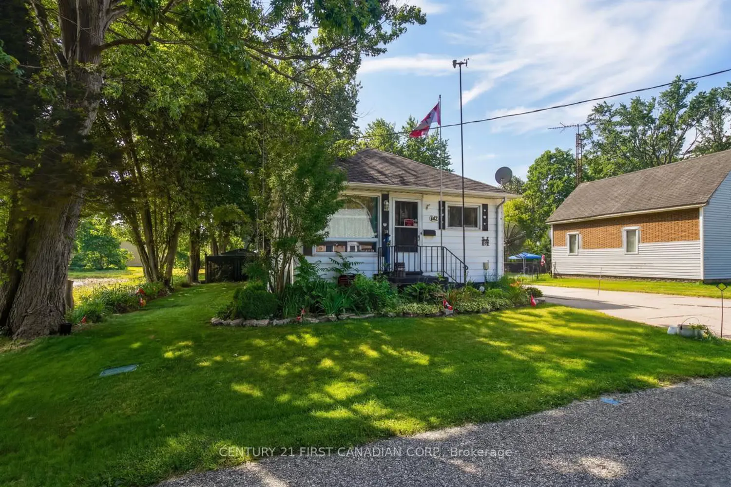 142 Frederic Street photo 3