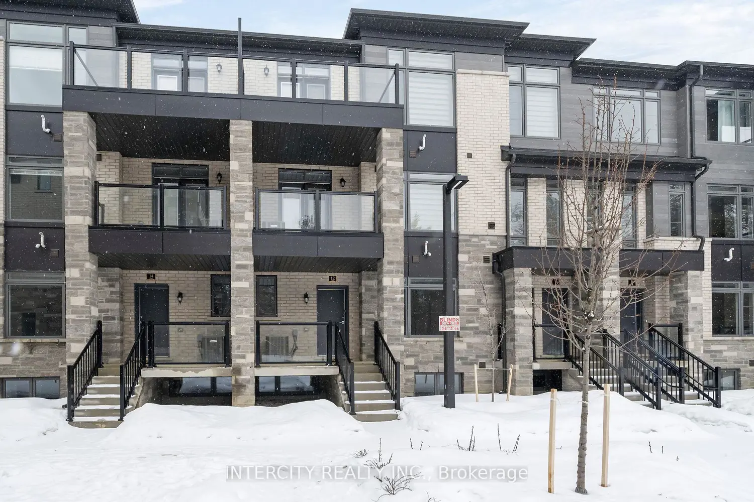 12 Savvy Lane 40Z