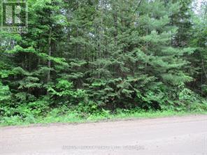 PT LT 49 OLD MOORE LAKE ROAD
