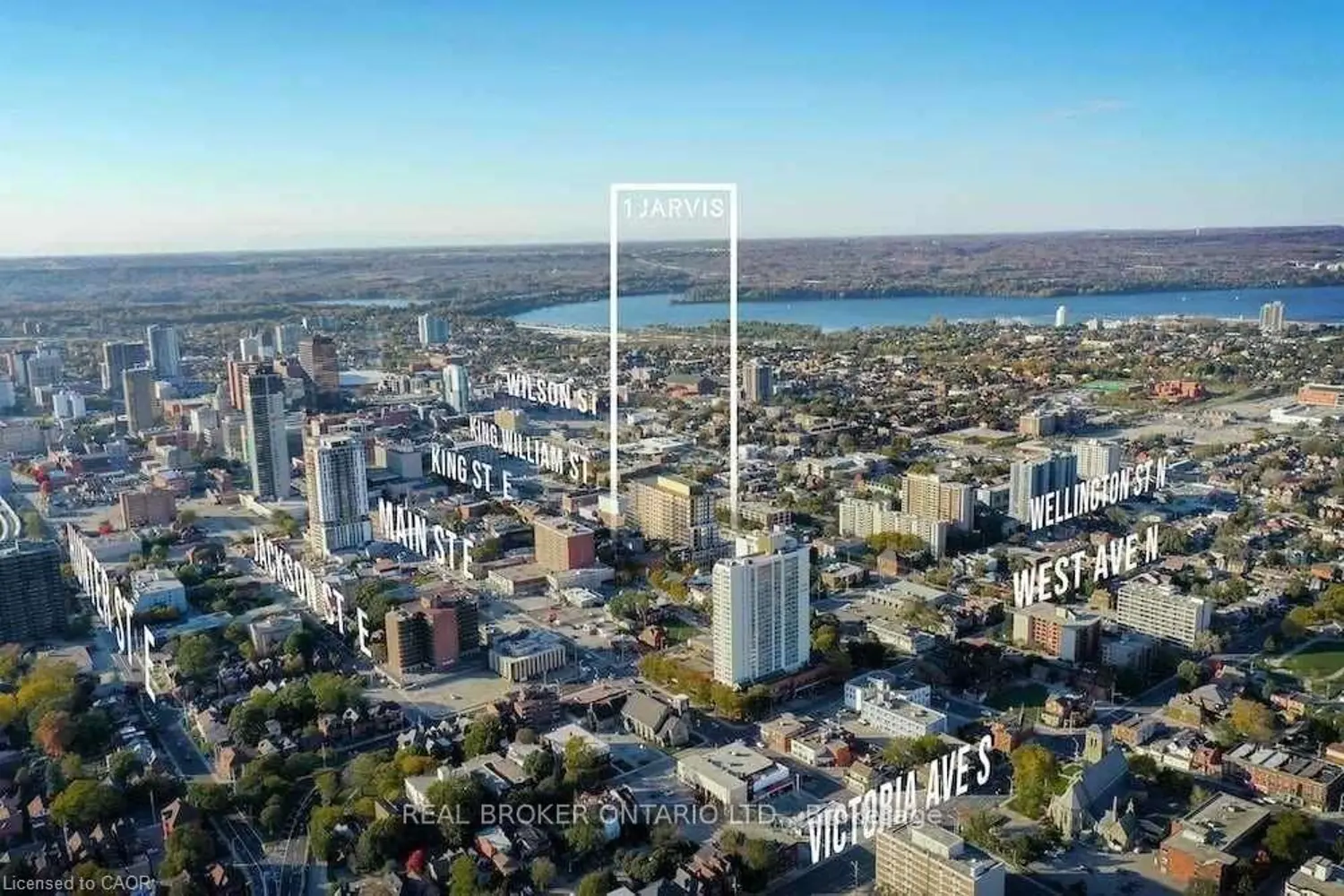 1 Jarvis Street 922 photo 3