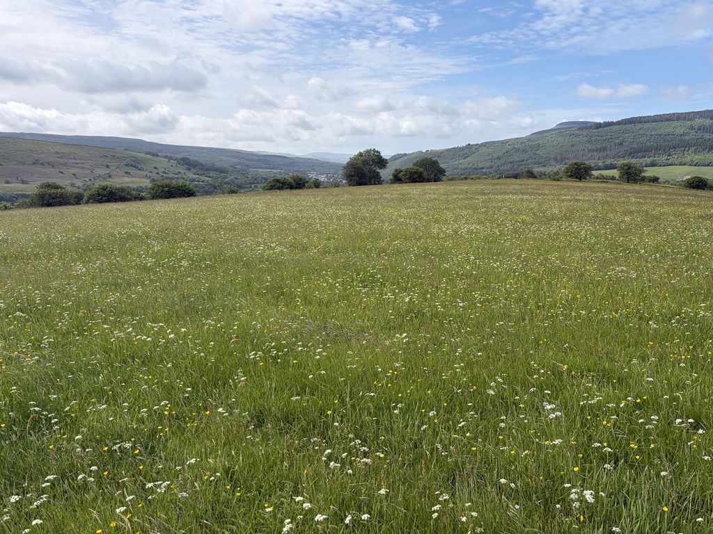 Property for saleCrynant, Neath, Neath Port Talbot. SA10