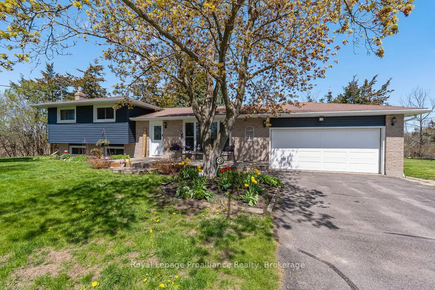 202 Huntingwood Drive photo 3