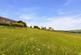Sidehead, Bishop Auckland DL13 photo 3