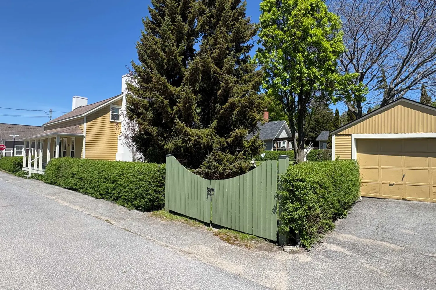 10 Drummond Street photo 3