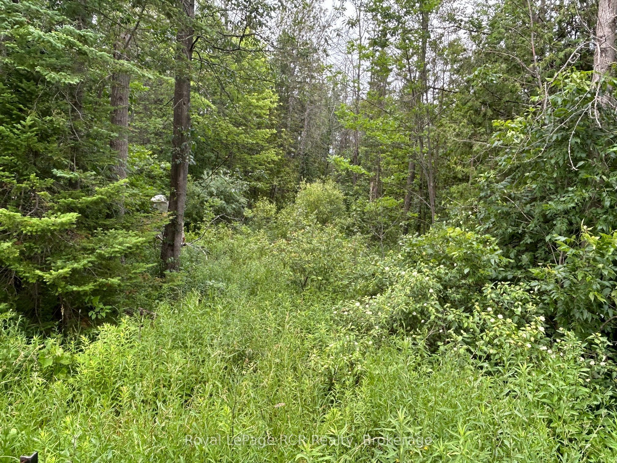 part Lot 2 Conc 17 Road, Georgian Bluffs, ON, N0H 2T0
