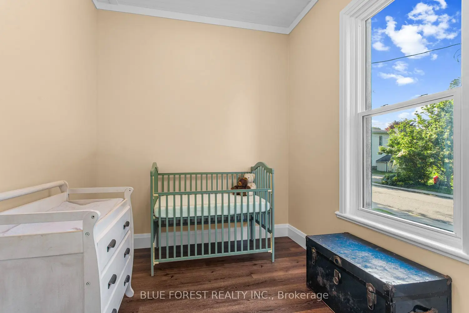 295 Buller Street photo 5