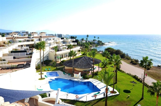 Estepona (Málaga) photo 2