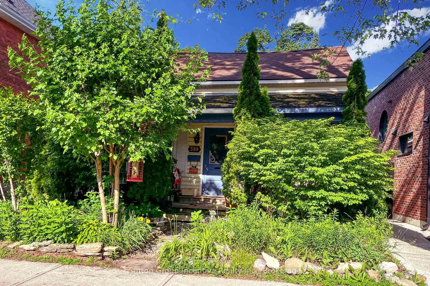 310 Maple Street photo 3