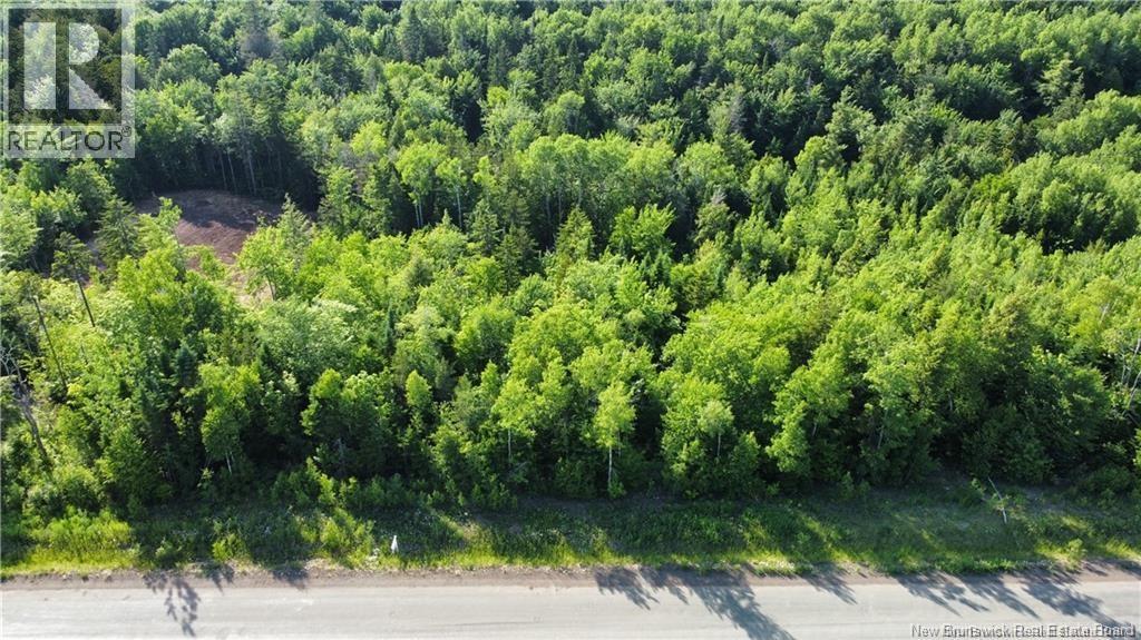Lot 21-39 Orchard Avenue