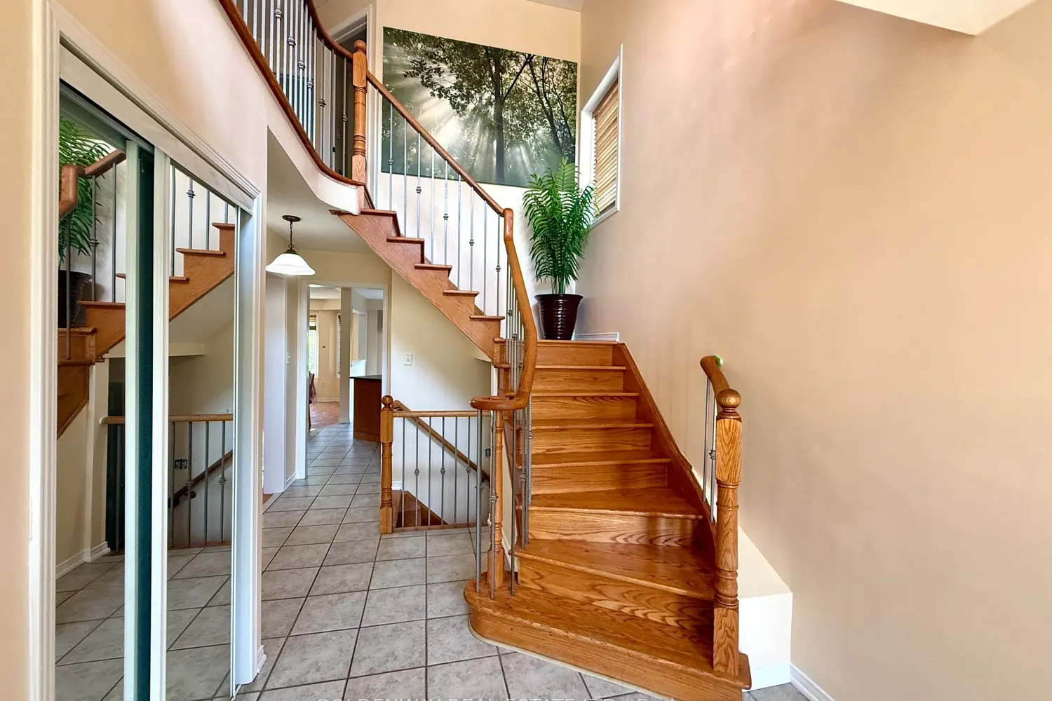 20 Green Ash Terrace photo 3