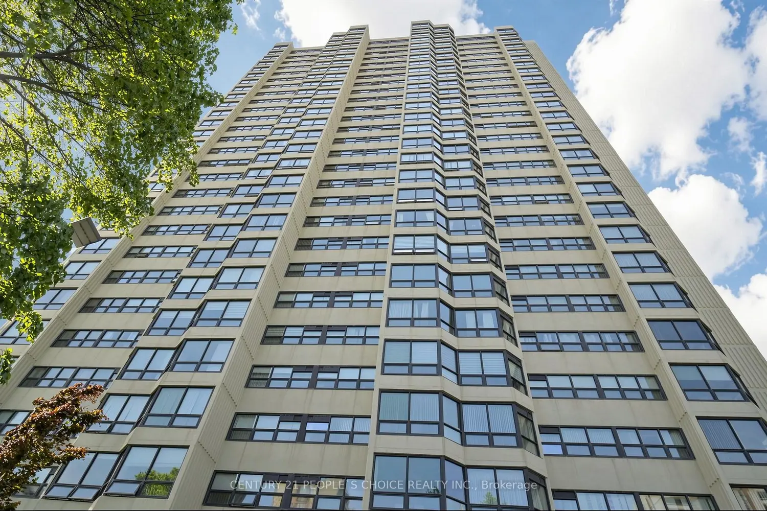8 Lisa Street 2207