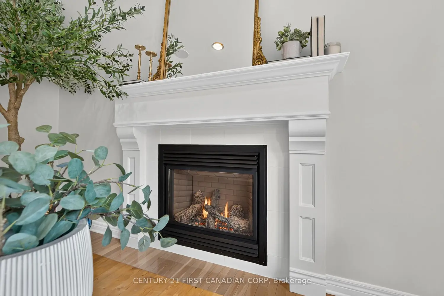 1027 Manchester Road photo 4
