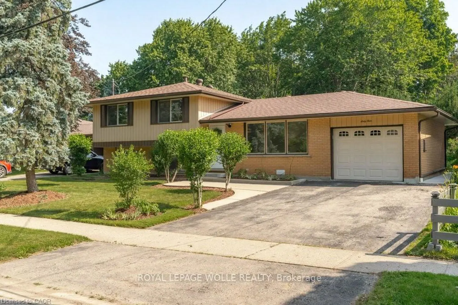 64 Warren Road photo 4