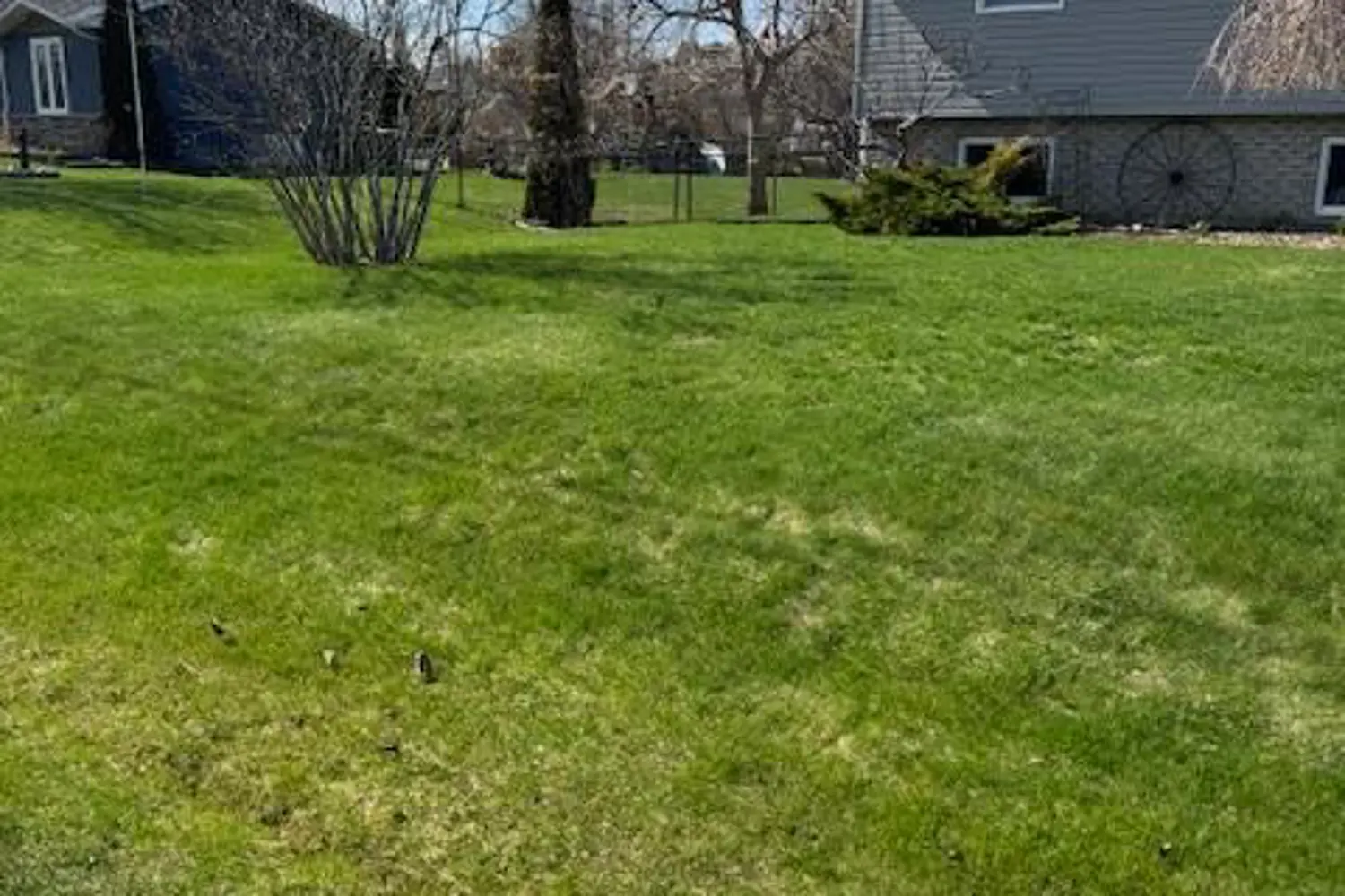 72 Douglas Street photo 3