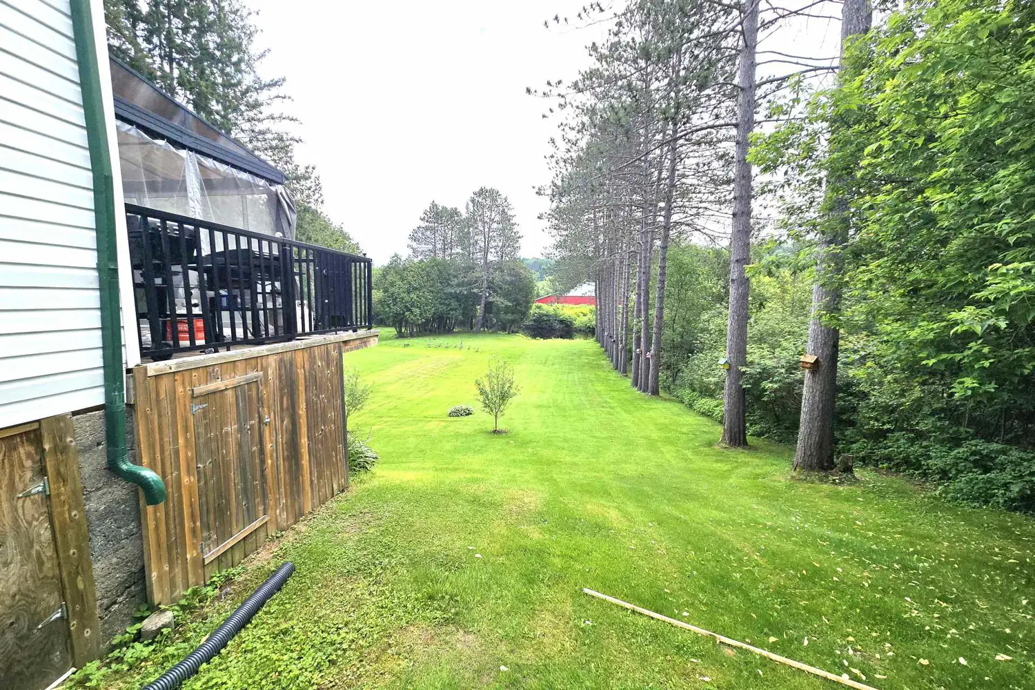 118 Dimsdale Street photo 5