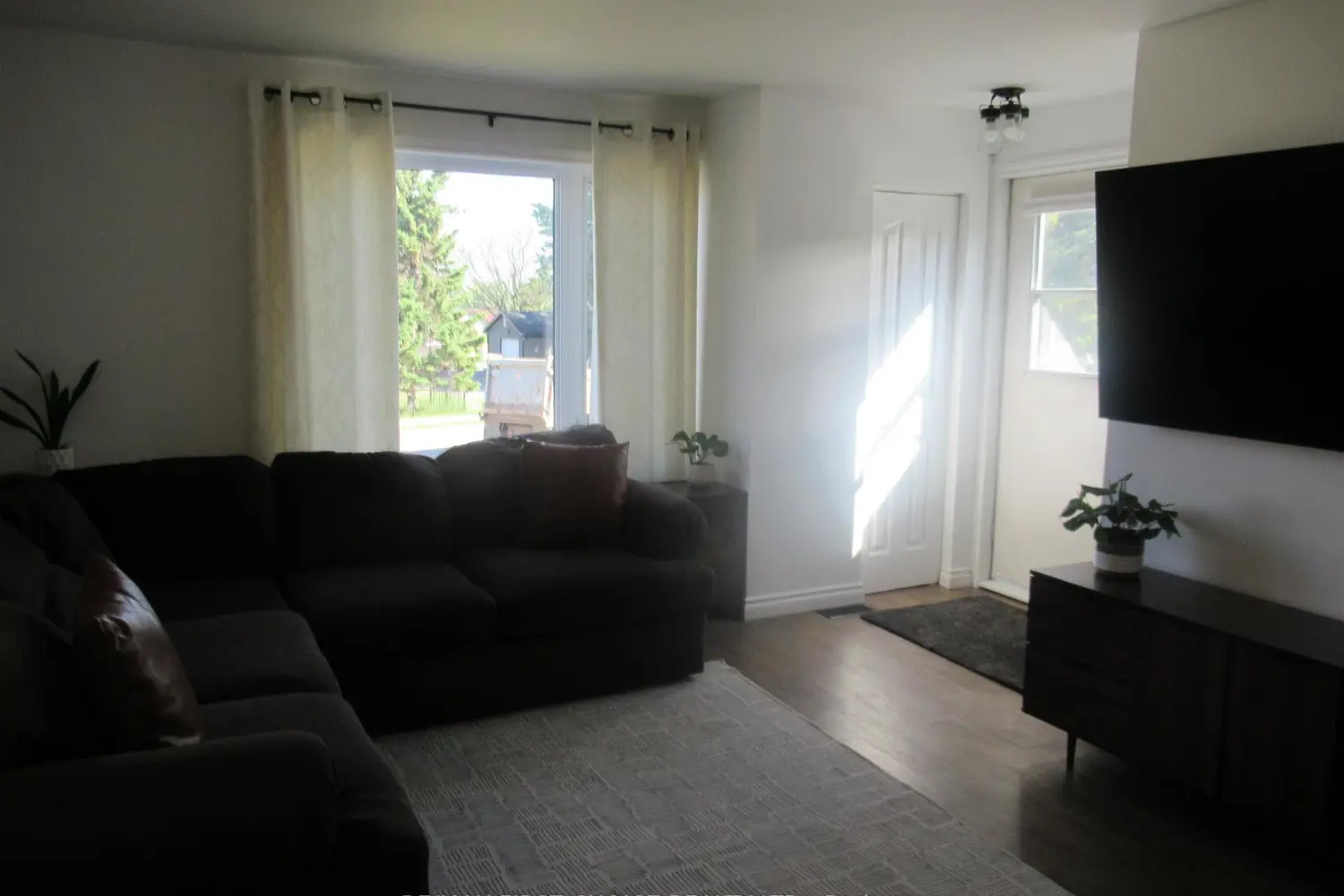 8 Ruttan Street photo 3